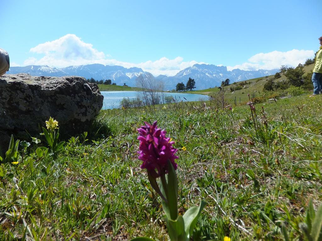 Vvf Les Ecrins Champsaur Hotell Saint-Bonnet-en-Champsaur Eksteriør bilde